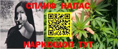 индика Нягань