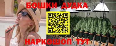 a pvp Обнинск