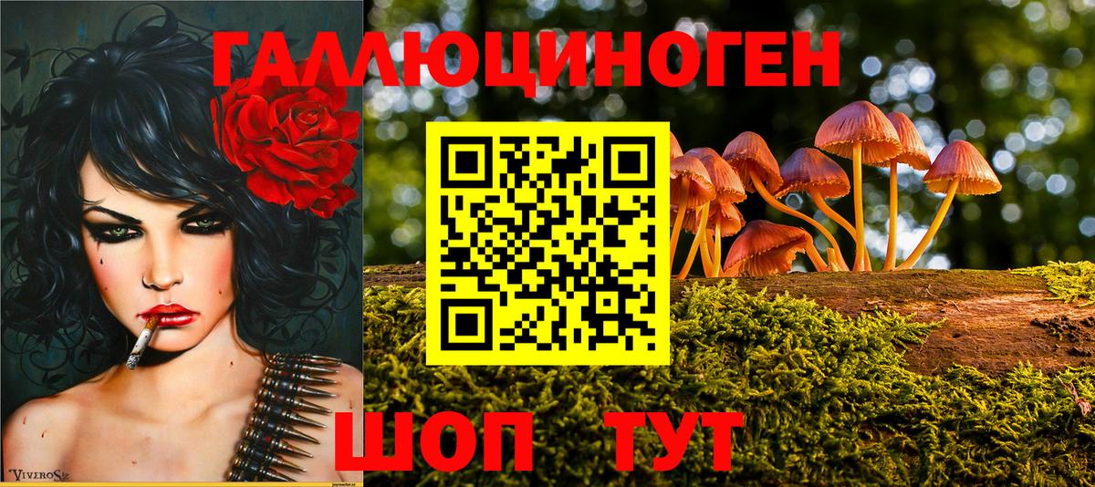 Псилоцибиновые грибы Cubensis Советский