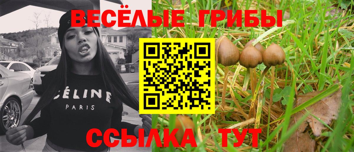 Советский  Псилоцибиновые грибы ЛСД  Псилоцибиновые грибы прущие грибы  цена   Вход с VPN 